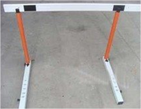 瑞泰風(fēng)大型吊扇